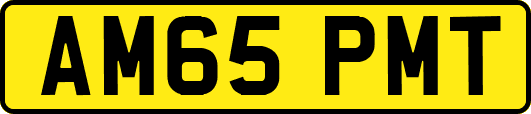 AM65PMT