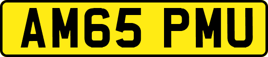 AM65PMU