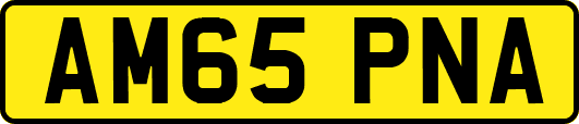 AM65PNA