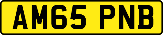 AM65PNB