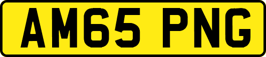 AM65PNG