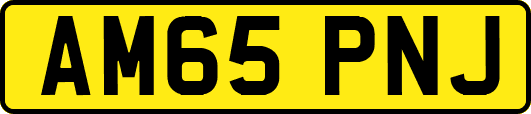 AM65PNJ