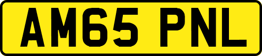 AM65PNL