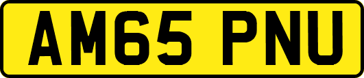 AM65PNU