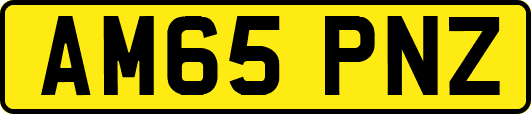AM65PNZ