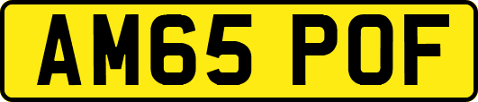 AM65POF