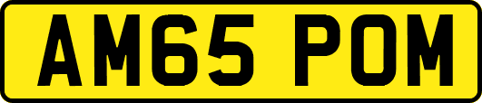 AM65POM