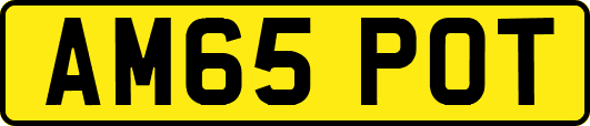 AM65POT