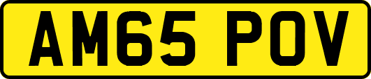 AM65POV