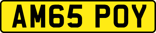 AM65POY
