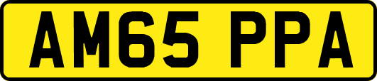 AM65PPA