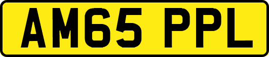 AM65PPL