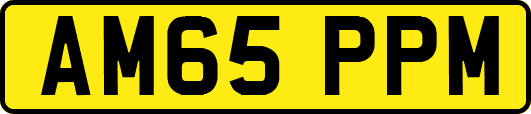 AM65PPM