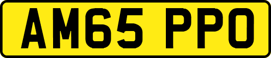 AM65PPO