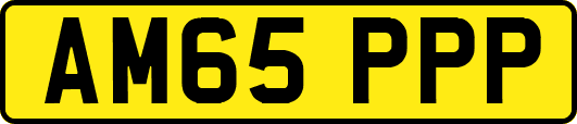 AM65PPP