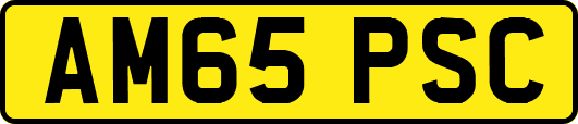 AM65PSC