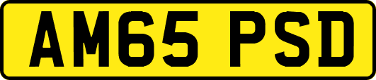 AM65PSD