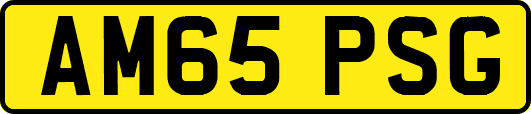 AM65PSG