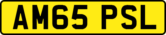 AM65PSL