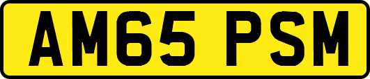 AM65PSM