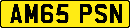 AM65PSN