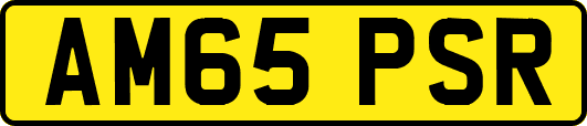 AM65PSR
