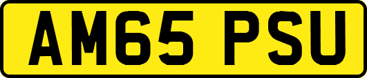 AM65PSU