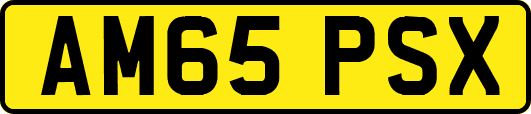 AM65PSX