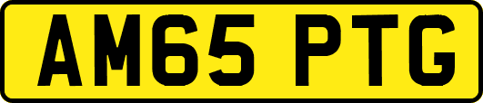AM65PTG
