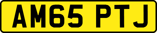 AM65PTJ
