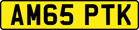 AM65PTK