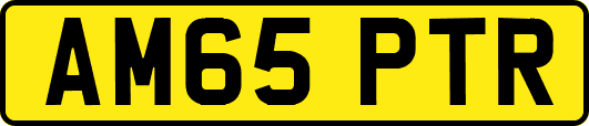 AM65PTR