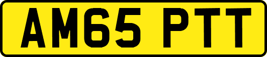 AM65PTT