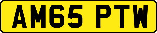 AM65PTW