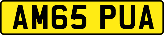 AM65PUA