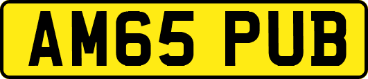 AM65PUB