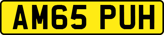 AM65PUH