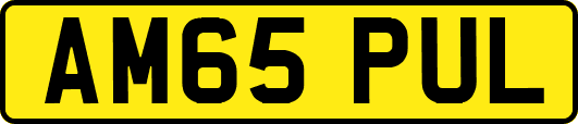 AM65PUL