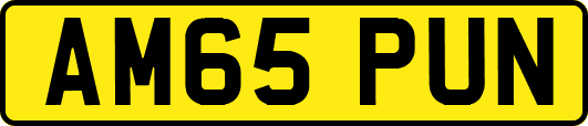 AM65PUN