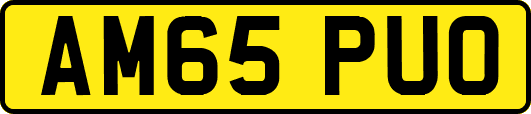AM65PUO
