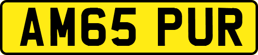 AM65PUR