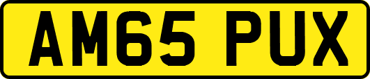 AM65PUX