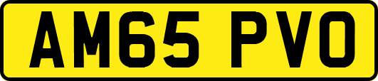 AM65PVO