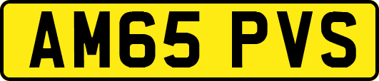 AM65PVS