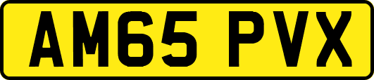 AM65PVX