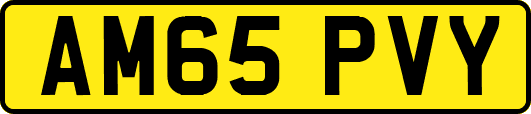 AM65PVY