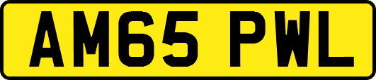 AM65PWL