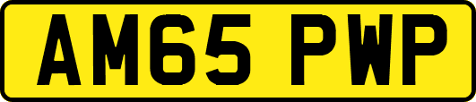 AM65PWP
