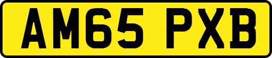 AM65PXB