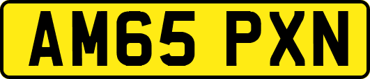 AM65PXN
